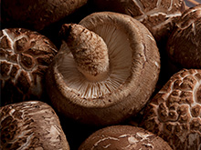 Amisan Pyogo (Shiitake) Mushrooms